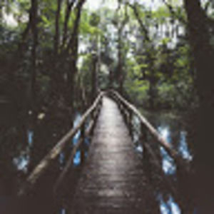 Meet your Posher, Arthur